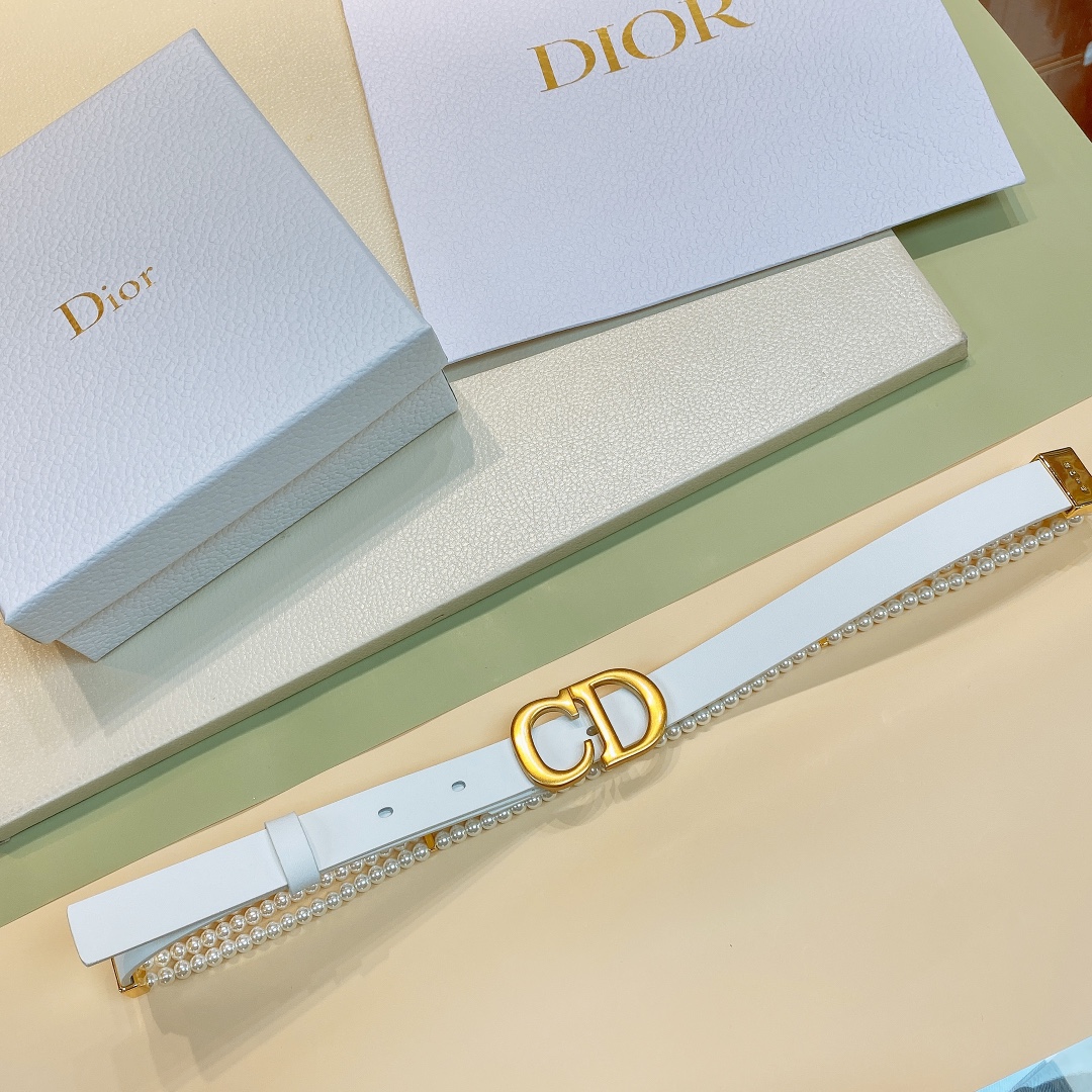 디올 벨트 59919 Dior Belt