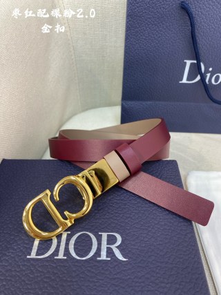 디올 벨트 60031 Dior Belt