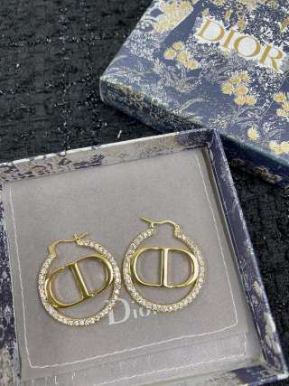 디올 귀걸이 60366 Dior Earrings