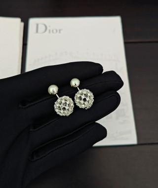 디올 귀걸이 60554 Dior Earrings