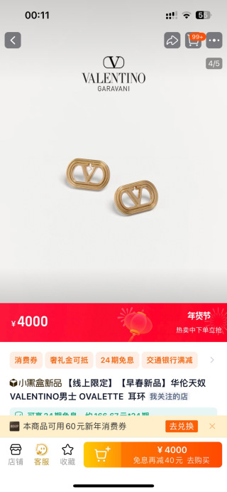 발렌티노 귀걸이 63521 Valentino Earrings