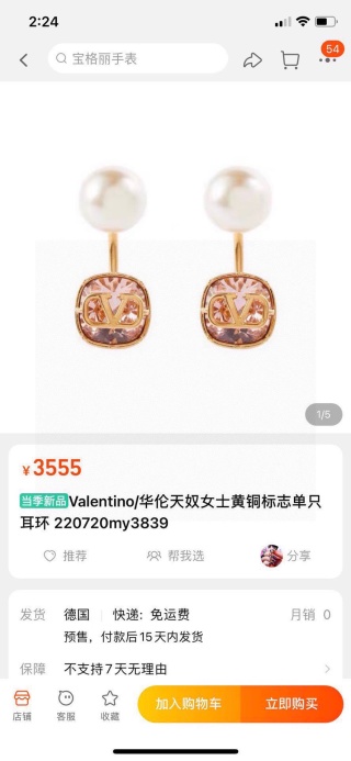 발렌티노 귀걸이 63541 Valentino Earrings