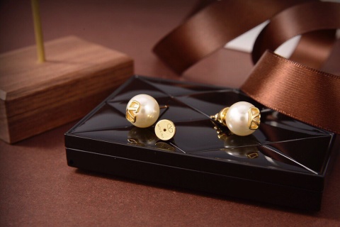 발렌티노 귀걸이 63591 Valentino Earrings