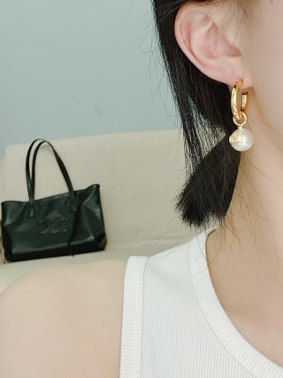 발렌티노 귀걸이 63682 Valentino Earrings