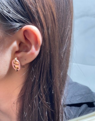 에르메스 귀걸이 70193 Hermes Earrings