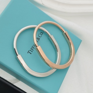 티파니 귀걸이 71034 Tiffany & Co Earrings