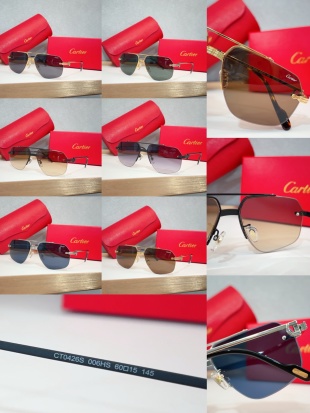 까르띠에 선글라스 72313 Cartier Sunglasses