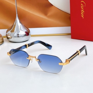 까르띠에 선글라스 72377 Cartier Sunglasses