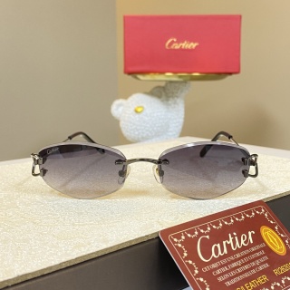 까르띠에 선글라스 72412 Cartier Sunglasses