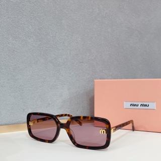 미우미우 선글라스 73097 Miu Miu Sunglasses