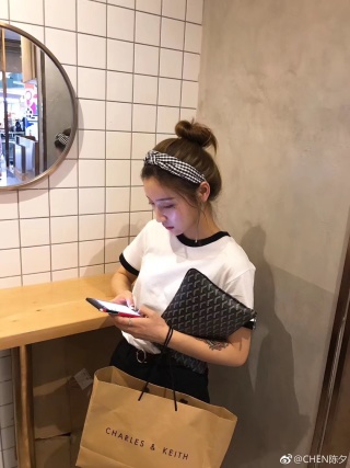 고야드 가방 77309 Goyard Bag