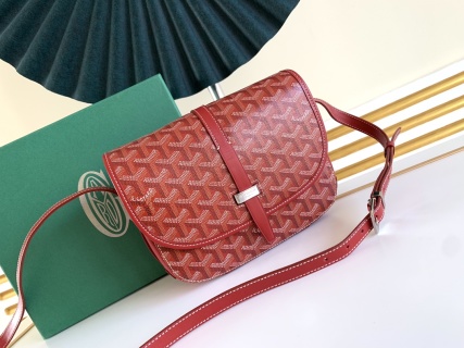 고야드 가방 77351 Goyard Bag