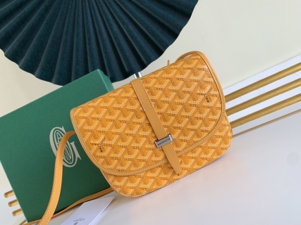 고야드 가방 77352 Goyard Bag
