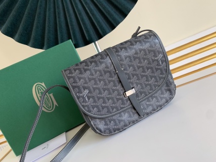 고야드 가방 77353 Goyard Bag