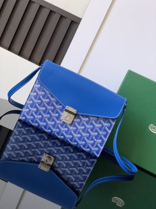 고야드 가방 77380 Goyard Bag