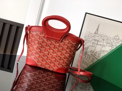 고야드 가방 77538 Goyard Bag