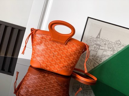 고야드 가방 77539 Goyard Bag