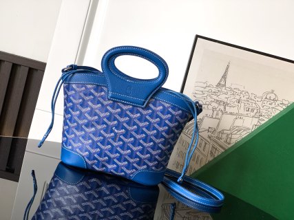 고야드 가방 77540 Goyard Bag