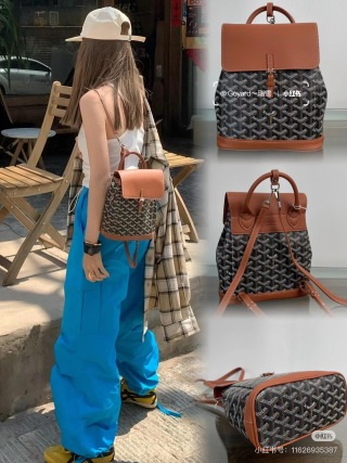 고야드 가방 77577 Goyard Bag