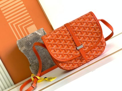고야드 가방 77662 Goyard Bag