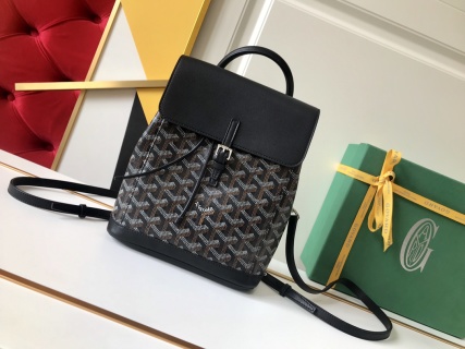 고야드 가방 77763 Goyard Bag