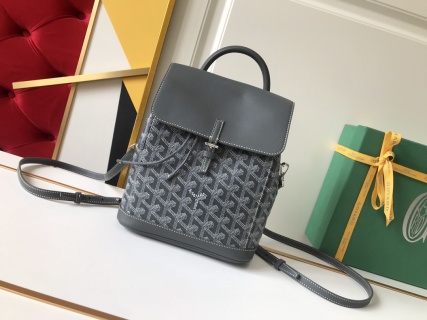 고야드 가방 77764 Goyard Bag