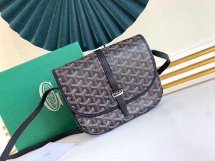 고야드 가방 77767 Goyard Bag