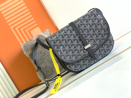 고야드 가방 77828 Goyard Bag