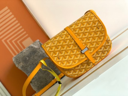 고야드 가방 77830 Goyard Bag