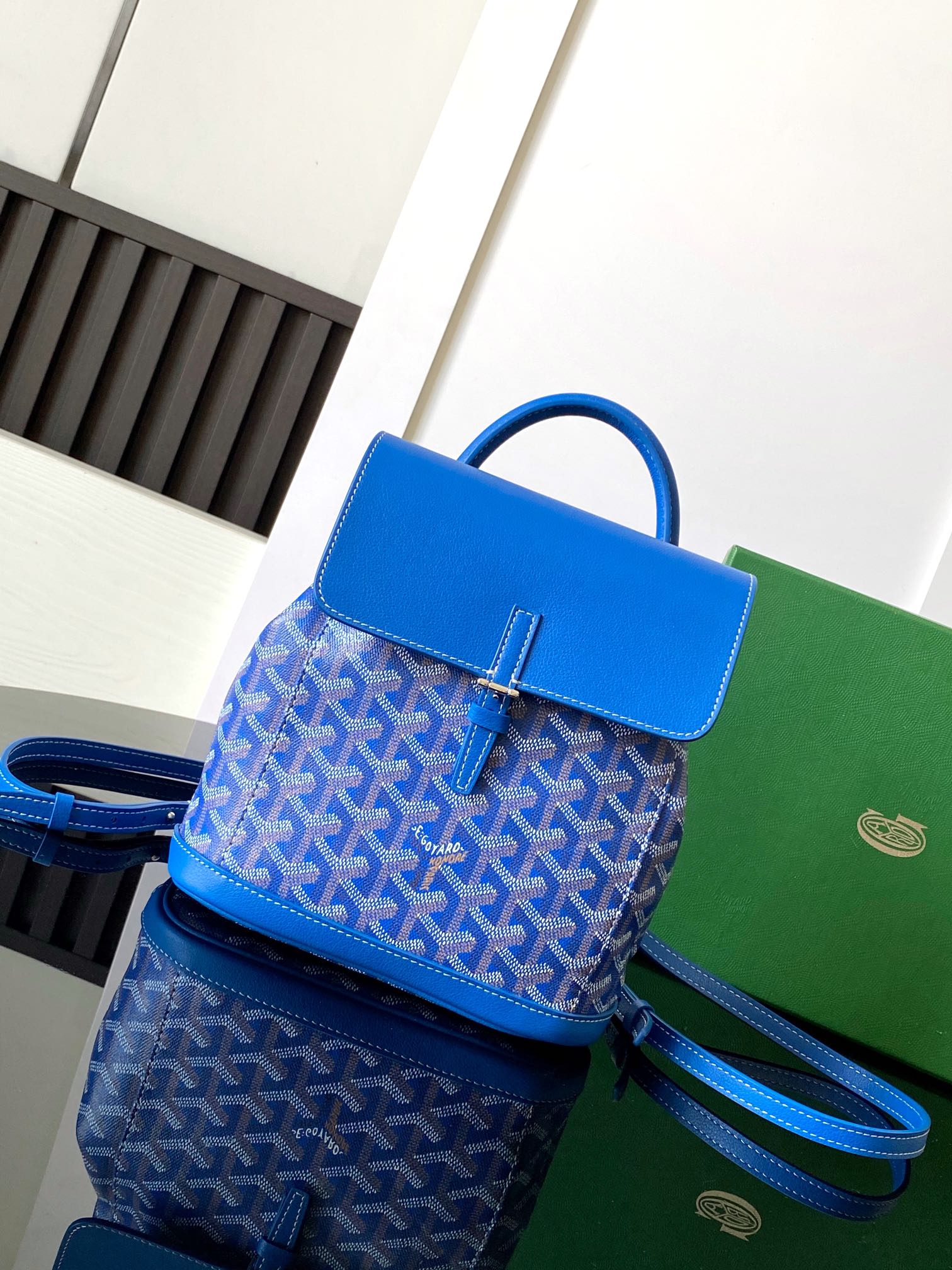 고야드 가방 77876 Goyard Bag