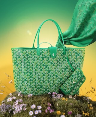 고야드 가방 77950 Goyard Bag