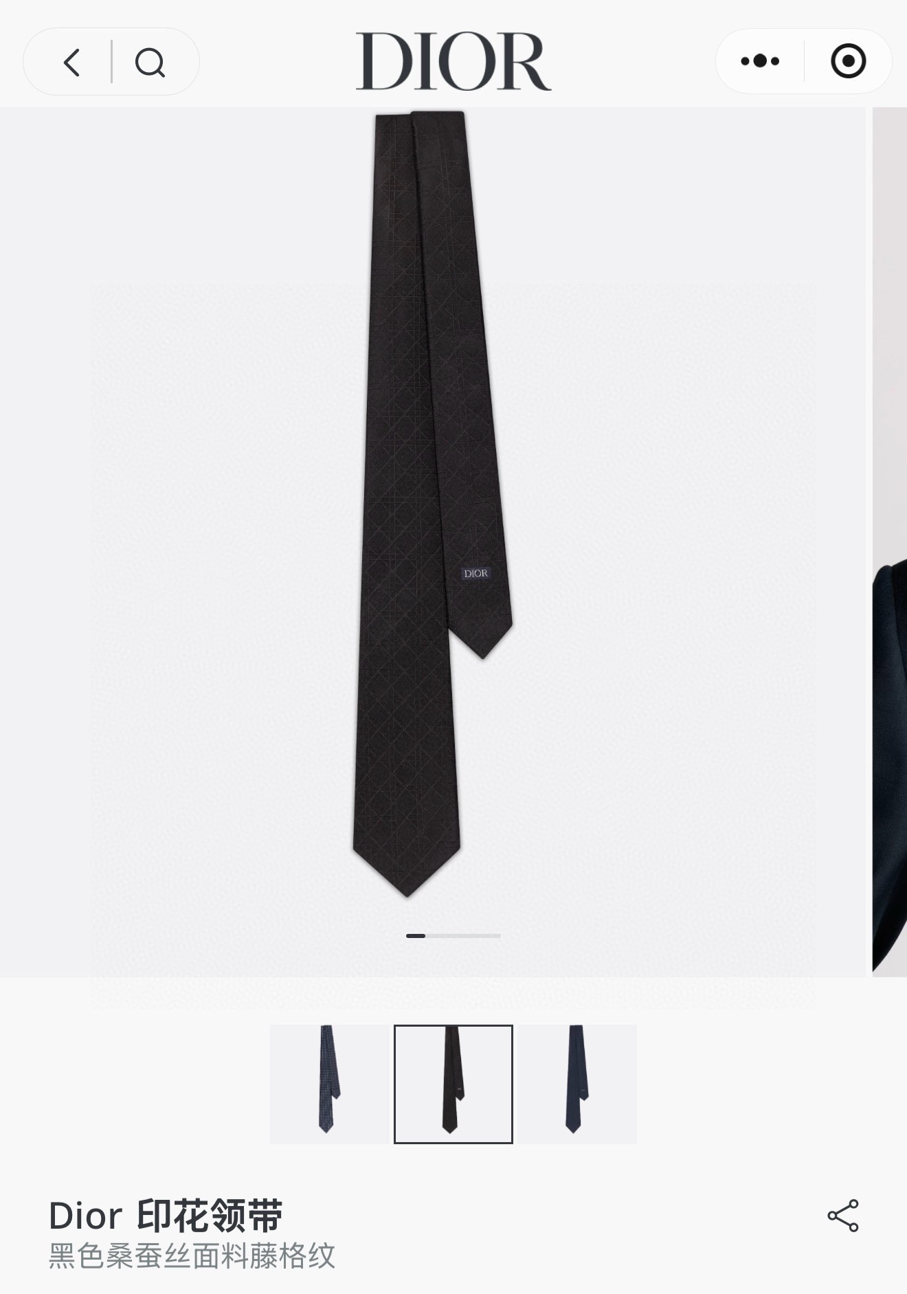 디올 넥타이 89763 Dior Accessories