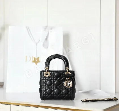 디올 165257 가방 Dior Bag