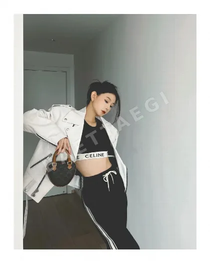 셀린느 클래식 하트 패턴 가방 86271