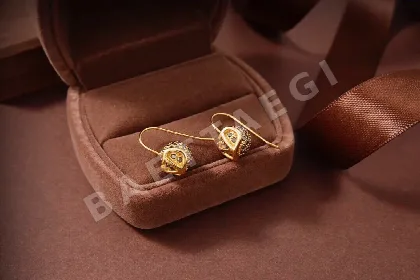 발렌티노 귀걸이 63673 Valentino Earrings