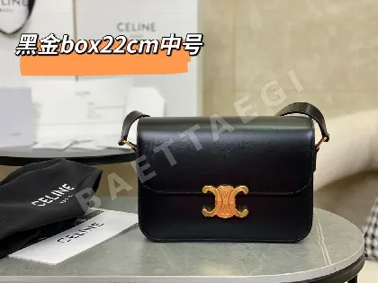 셀린느 개선문 박스 미디엄 가방 86230