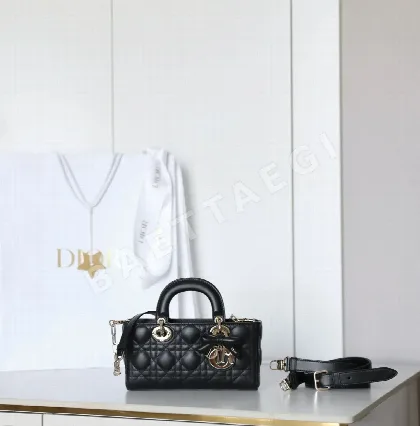 디올 165253 가방 Dior Bag