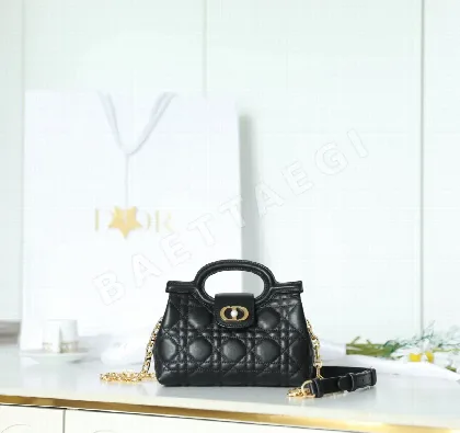 디올 165282 가방 Dior Bag