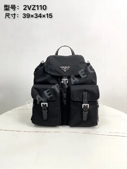 프라다 리나일론 실버 버클 백팩 2VZ110