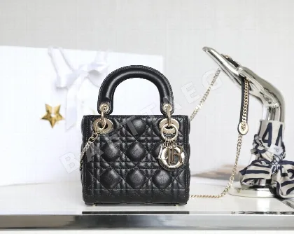 디올 165271 가방 Dior Bag
