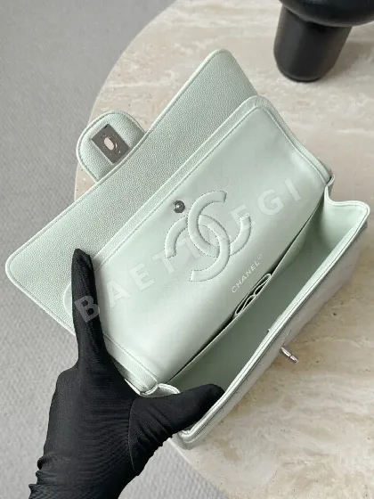 샤넬 그린 은장 캐비어 가방 33506