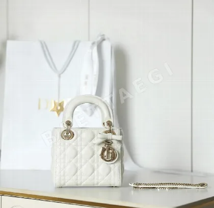 디올 165256 가방 Dior Bag