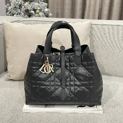 디올 가방 16643