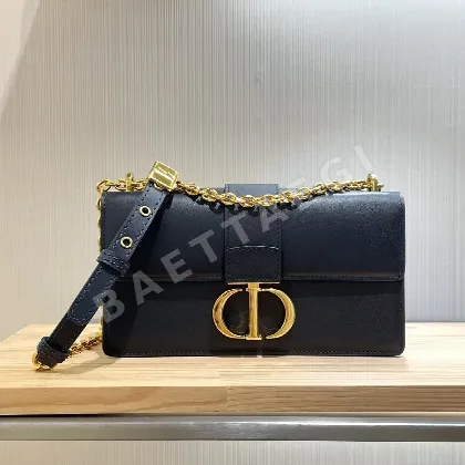 디올 가방 15956