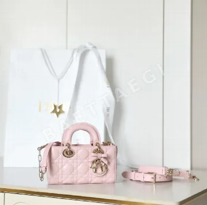 디올 165258 가방 Dior Bag