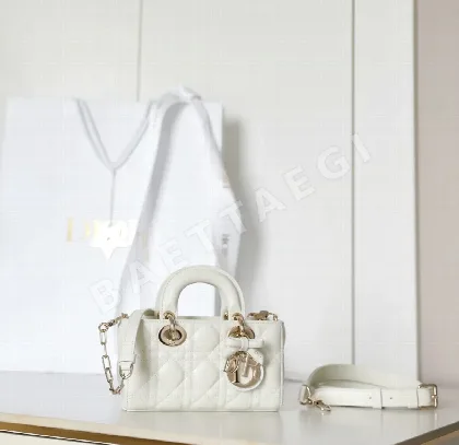 디올 165260 가방 Dior Bag