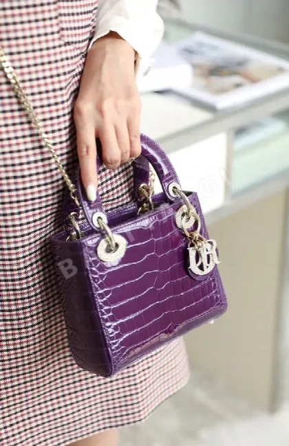 디올 165290 가방 Dior Bag
