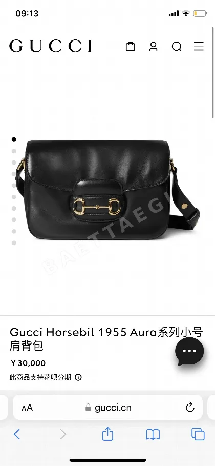 구찌 호스빗 1955 오라 스몰 숄더백 847063 138161