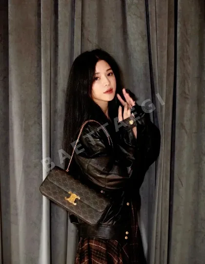 셀린느 트라이엄프 아치 체인 롱 가방 86388