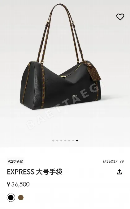 루이비통 버드케이지 가방 M26037